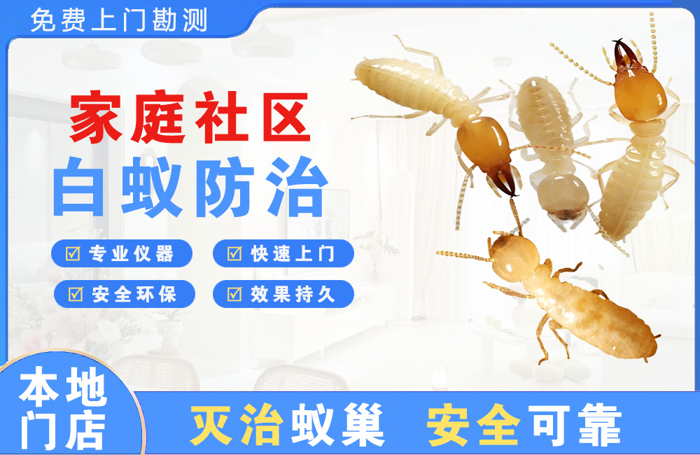 安顺家庭社区白蚁防治