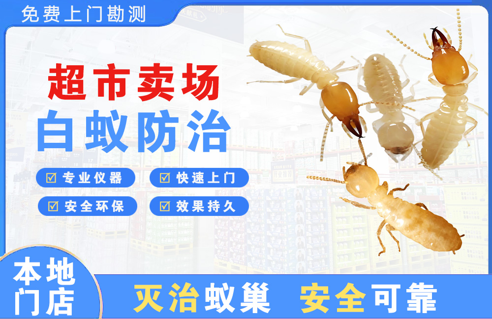 安顺超市卖场白蚁防治