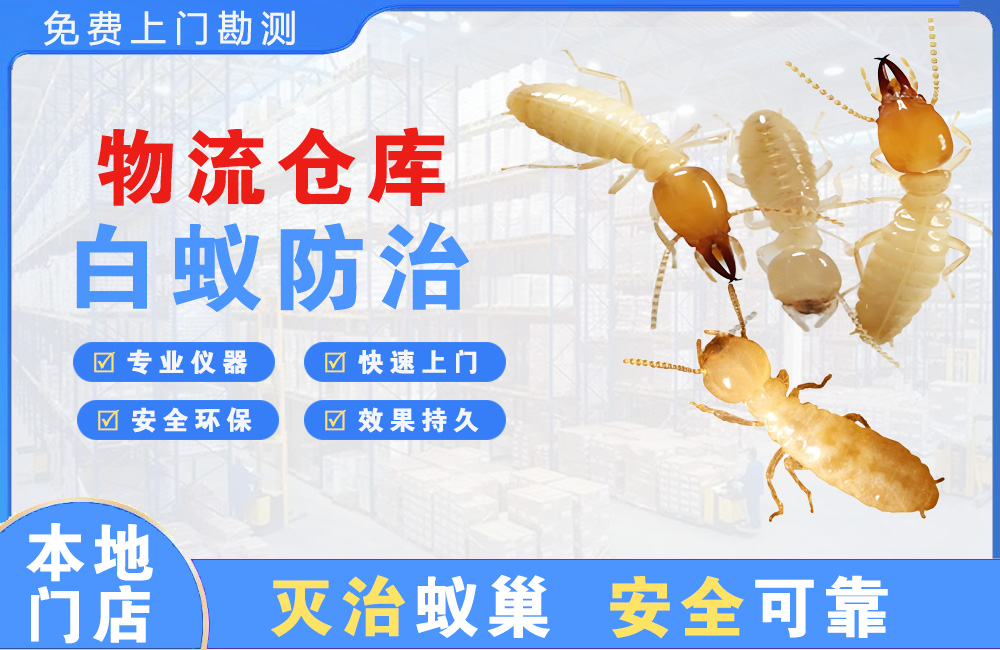安顺物流仓库白蚁防治
