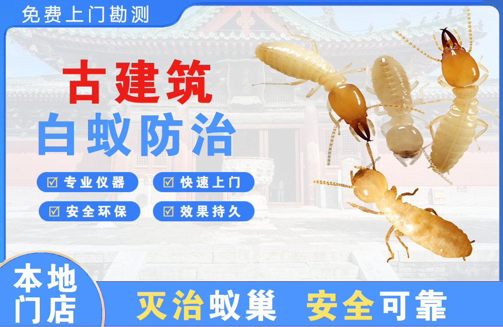 安顺古建筑白蚁防治