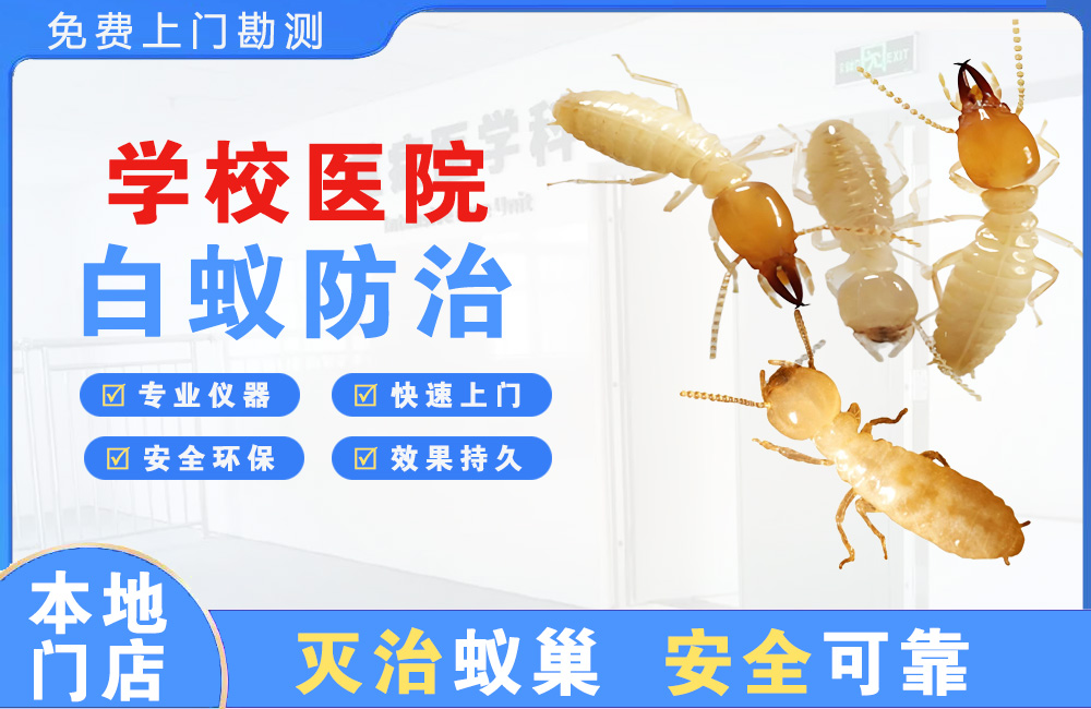 安顺学校医院白蚁防治