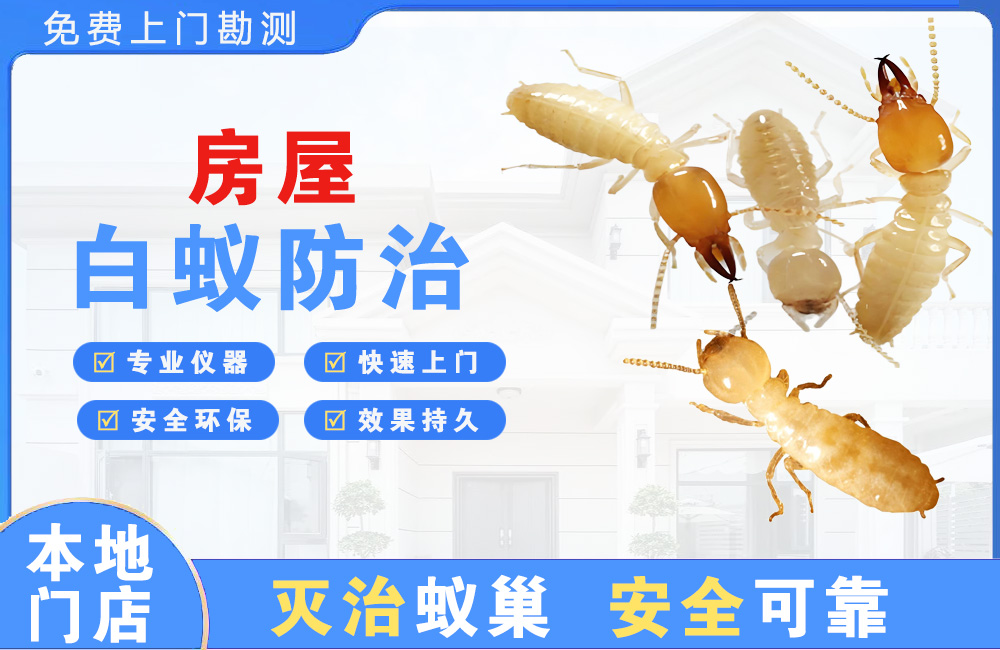 安顺房屋白蚁防治