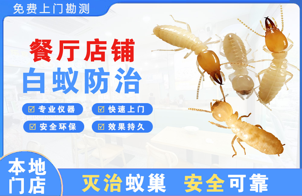 安顺餐厅店铺白蚁防治